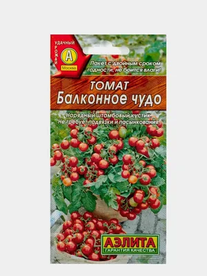 Семена Томат Geolia «Балконное чудо» по цене 33 ₽/шт. купить в Москве в  интернет-магазине Леруа Мерлен