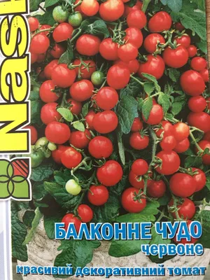 ТОМАТ Балконное чудо раннеспелый (0,03г) Цв.пак (10шт) код: 03315 от –  купить оптом с доставкой по всей России в интернет-магазине atann.ru