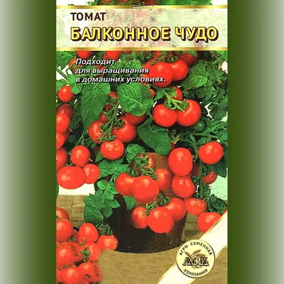 С-Томат Балконное чудо 0,03г/ПТК - купить по цене 17.50 руб.шт в Нижнем  Новгороде | Полимерснаб