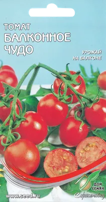 Томат балконное чудо семена алтая — купить по низкой цене на Яндекс Маркете