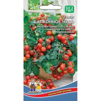 Томат Балконное Чудо 20Шт Ультраскор.карлик.сибсад Сибирский Сад Семена  других фирм Семена Продукция
