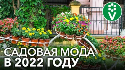 Как сделать свой двор красивым: советы ландшафтных дизайнеров - 16 апреля  2021 - e1.ru