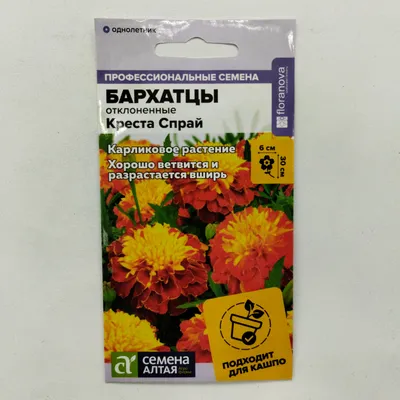 Бархатцы (Tagetes). Описание, выращивание, посадка и уход. Программа PRO  Цветы (ПРО Цветы) | flokus.ru - ландшафтный дизайн