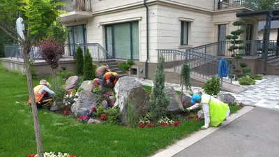 Рабатка: варианты применения прямоугольных клумб в современном ландшафтном  дизайне + схемы посадки многолетних и однолетних цветов