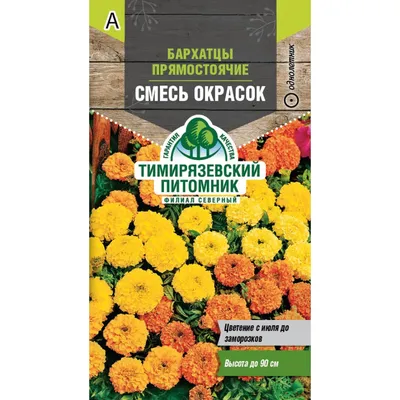 Цвет в ландшафтном дизайне | Блог GreenMarket