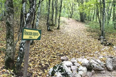 Веломаршруты (veloroute) Крым. Орлиное - Байдарские ворота - Чертова  лестница. (Описание маршрута). » velorout.com.ua