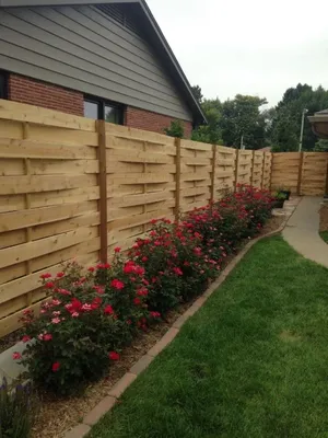 Что посадить вдоль забора на даче? Фото и идеи оформления | Fence design,  Backyard garden design, Wood picket fence