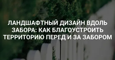 Какие растения можно посадить возле забора с внешней стороны