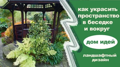 Что можно посадить вокруг беседки? | mydreamgarden