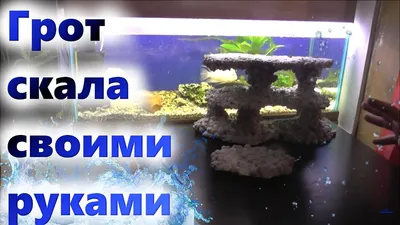 ➤ Роль фона для аквариума - AquaPortal