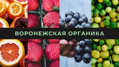 24+ идеи, что приготовить на ужин быстро и вкусно: простые и легкие рецепты  из фарша, свинины, курицы, говядины, на сковороде и в духовке для всей семьи