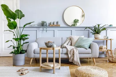 12 Home Decor Ideas To Refresh Your Home Without Renovating - Forbes Vetted