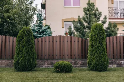 Красивые заборы для частных загородных домов из профнастила. Ограждения из  дерева в современном стиле - 43 фото