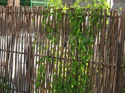 DIY decorative fence. - YouTube