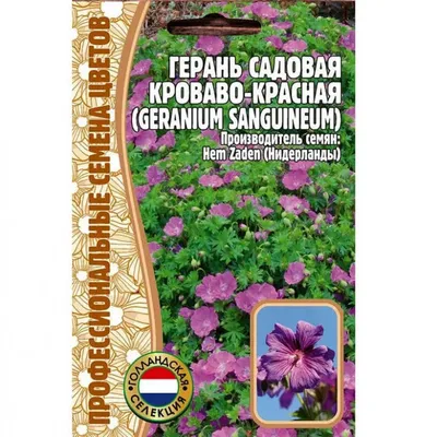 Купить саженцы садовой герани в интернет магазине ЗаказВсад ру