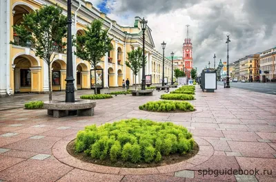 У Гостиного двора задержано уже более 10 человек : ЗакС.Ру : Новости Санкт- Петербурга