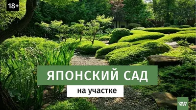 Японский стиль ландшафтного дизайна» — создано в Шедевруме