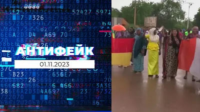 24 года без солнечного света: жизнь Элизабет в подвале отца-насильника