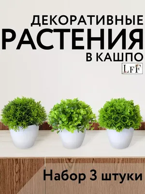 Купить Искусственные цветы пион венок ручной работы гирлянда для зеркала  дома свадьба свадьба украшение перемычки двери | Joom