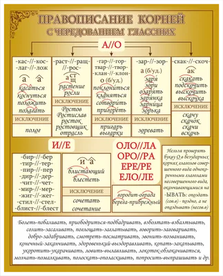 Современный кабинет русского языка и литературы: 18 фото