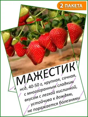 Клубника на подоконнике: рекомендации для успешного выращивания - полезные  статьи о садоводстве от Agro-Market24