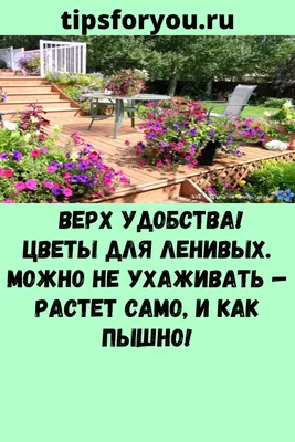 Дизайн сада. Сады вдохновения. Лучшие идеи ландшафтного дизайна | Доставка  по Европе