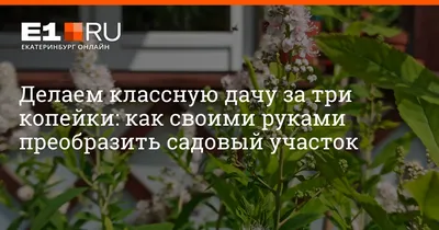 Рассказываем, как без особых вложений сделать стильный ландшафтный дизайн  на даче - 7 июля 2021 - e1.ru