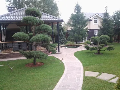 Дизайн двора частного дома | Outdoor gardens design, Front garden  landscape, Home landscaping