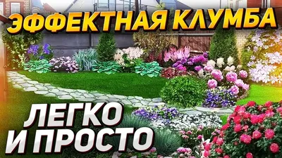 Какие растения посадить возле забора | Идеи для жизни | Дзен