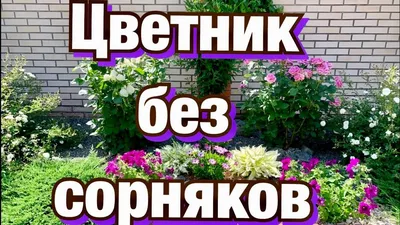 Ландшафтный дизайн на даче своими руками: цветы на участке, примеры, стили  ландшафтного дизайна - Дом и уют - Журнал Домклик