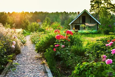 Ландшафтный дизайн дачного участка своими руками: фото и проекты