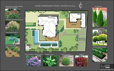 Сад в стиле минимализм, ландшафтный дизайн, фото | Minimalist garden, Front  yard garden design, Front yard design