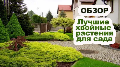 Можно ли создать на своём участке ландшафт, не требующий ухода? – Статьи о  ремонте и строительстве – Диванди