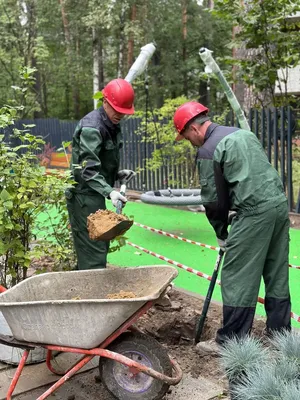 Ландшафтый дизайн Парка Манассас при Начальной Школе в Вирджинии