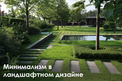 Сад в стиле минимализм, ландшафтный дизайн, фото | Minimalist garden, Front  yard garden design, Front yard design