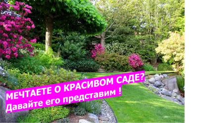 Оформление ландшафтного дизайна в стиле прованс. Фото примеров | Garden  spaces, Outdoor gardens, Backyard seating