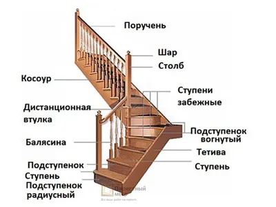 Виды лестниц у вас дома