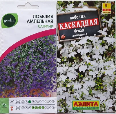 Семена Lobelia Sapphire - Лобелия pendula - 6400 семян - Lobelia pendula -  семена – Garden Seeds Market | Бесплатная доставка