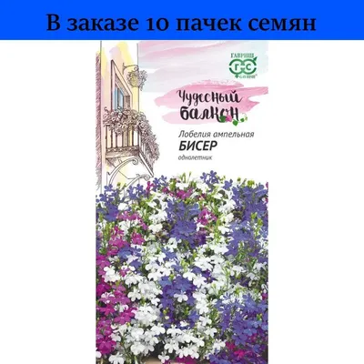 Лобелия белая в подвесном горшке декоративное растение, Цветы для балкона