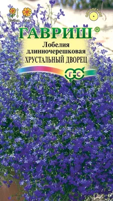 Лобелии ПОИСК Агрохолдинг Лобелия ампельная Регата Марин Блю - купить по  выгодным ценам в интернет-магазине OZON (1258974841)