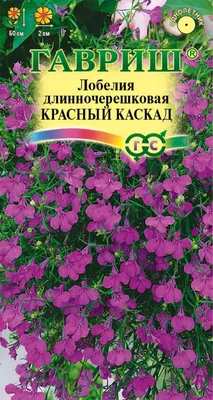 Семена цветов Гавриш лобелия ампельная Сапфир по цене 25 ₽/шт. купить в  Рязани в интернет-магазине Леруа Мерлен