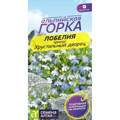 Цветы Лобелия Розамунда (0,05г) - купить по выгодным ценам в Москве и с  доставкой по России