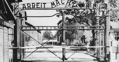 Польская полиция нашла надпись Arbeit macht frei | Українські Новини