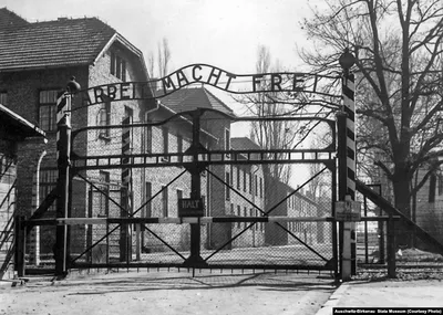 Надпись Над Главными Воротами Концлагеря В Освенциме Arbeit Macht Frei —  стоковые фотографии и другие картинки Arbeit macht frei - iStock