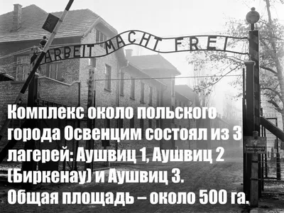 Освенцим – как выглядел лагерь смерти и что сохранилось сейчас