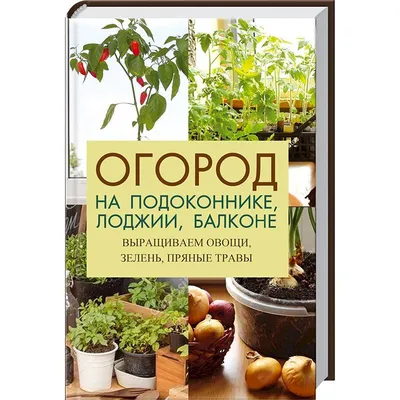 Квартирные урожаи. Что можно вырастить на подоконнике в спальне и на полках  балкона? | Фотогалереи | ПроСевероуральск.ру