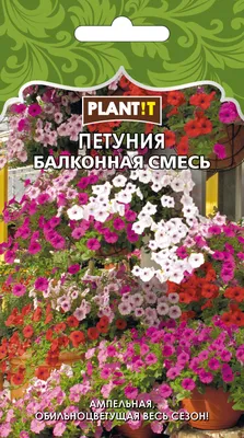 Купить семена: Петуния Балконная смесь - цены,фото,отзывы |  Green-Club.com.ua