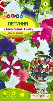 Семена Петуния Балконная смесь, 0.1 г, в цветной упаковке Тимирязевский  питомник в Москве: цены, фото, отзывы - купить в интернет-магазине  Порядок.ру