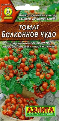 Томат Балконное чудо 20шт, семена | Купить в интернет магазине Аэлита