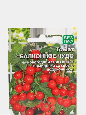 Томат Балконное чудо желтое Р10,5 — Питомник Летний сад